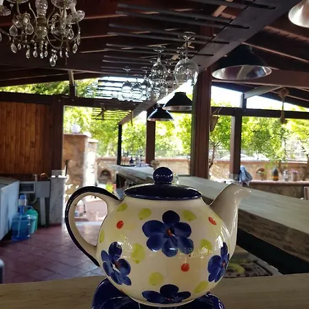 Bodrum Stone House Hotel