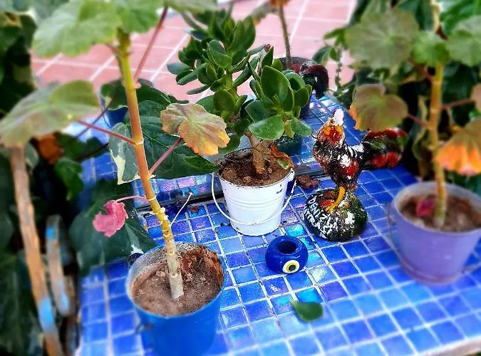 보드룸 스톤 하우스 호텔 * Bodrum