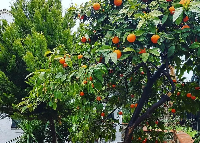 보드룸 스톤 하우스 호텔 빌라