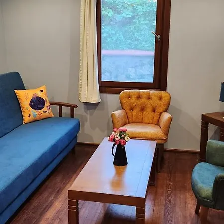 Stone House 4* Бодрум