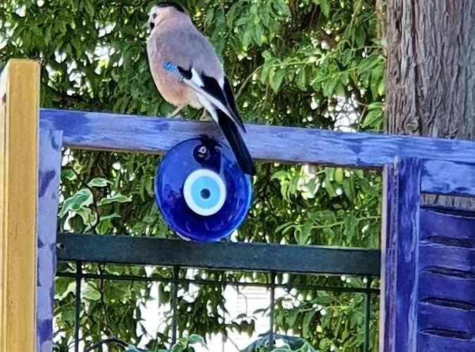 Bodrum Stone House *