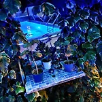 Bodrum Stone House * בודרום