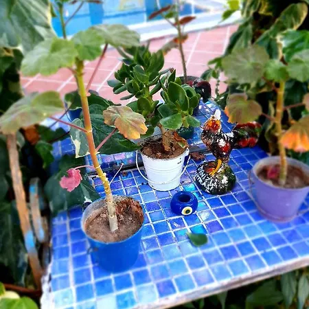 Stone House 3* Бодрум