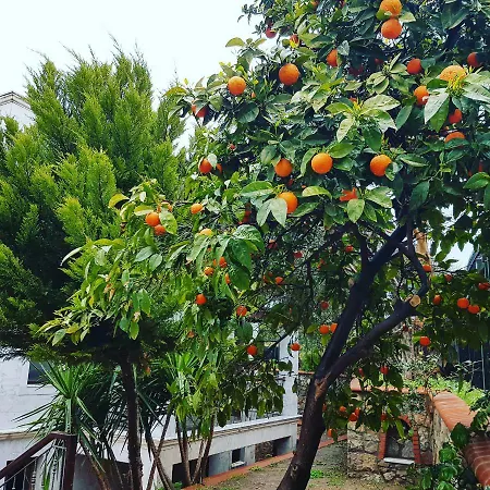 Stone House Aparthotel